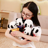 Panda Plush Mini with Chinese Clothing