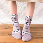 Girls Panda Socks