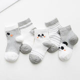 Panda Baby Socks
