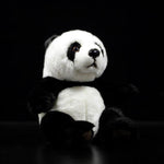 Panda Plush Bear Design