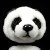 Panda Plush Bear Design