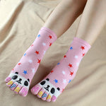 Panda Socks Stars